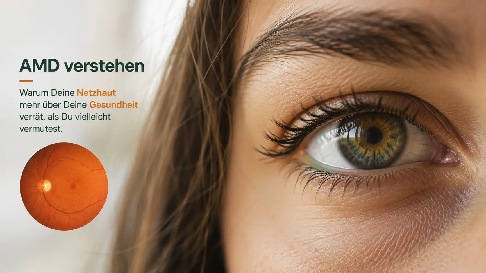 AMD verstehen